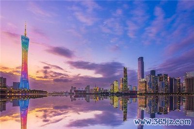 蛇口洋妞行业概述